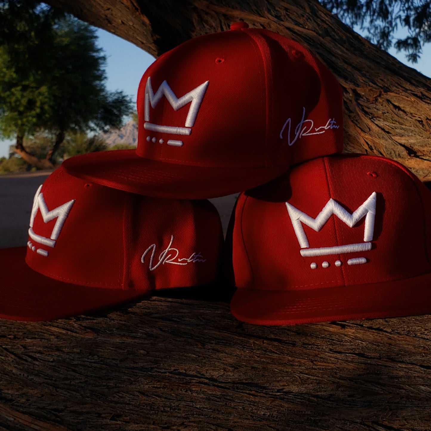 VCTRY Snapback