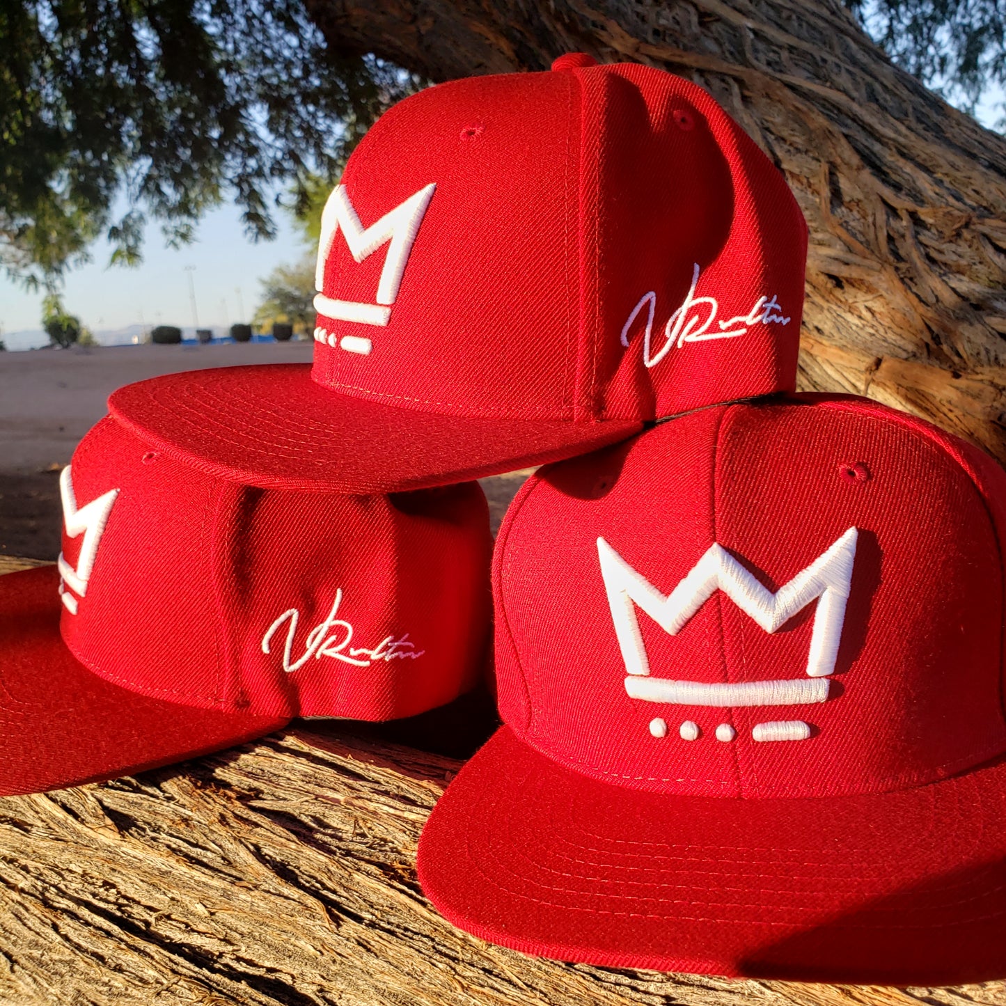 VCTRY Snapback